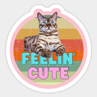 Feelin' Cute (cat) Sticker